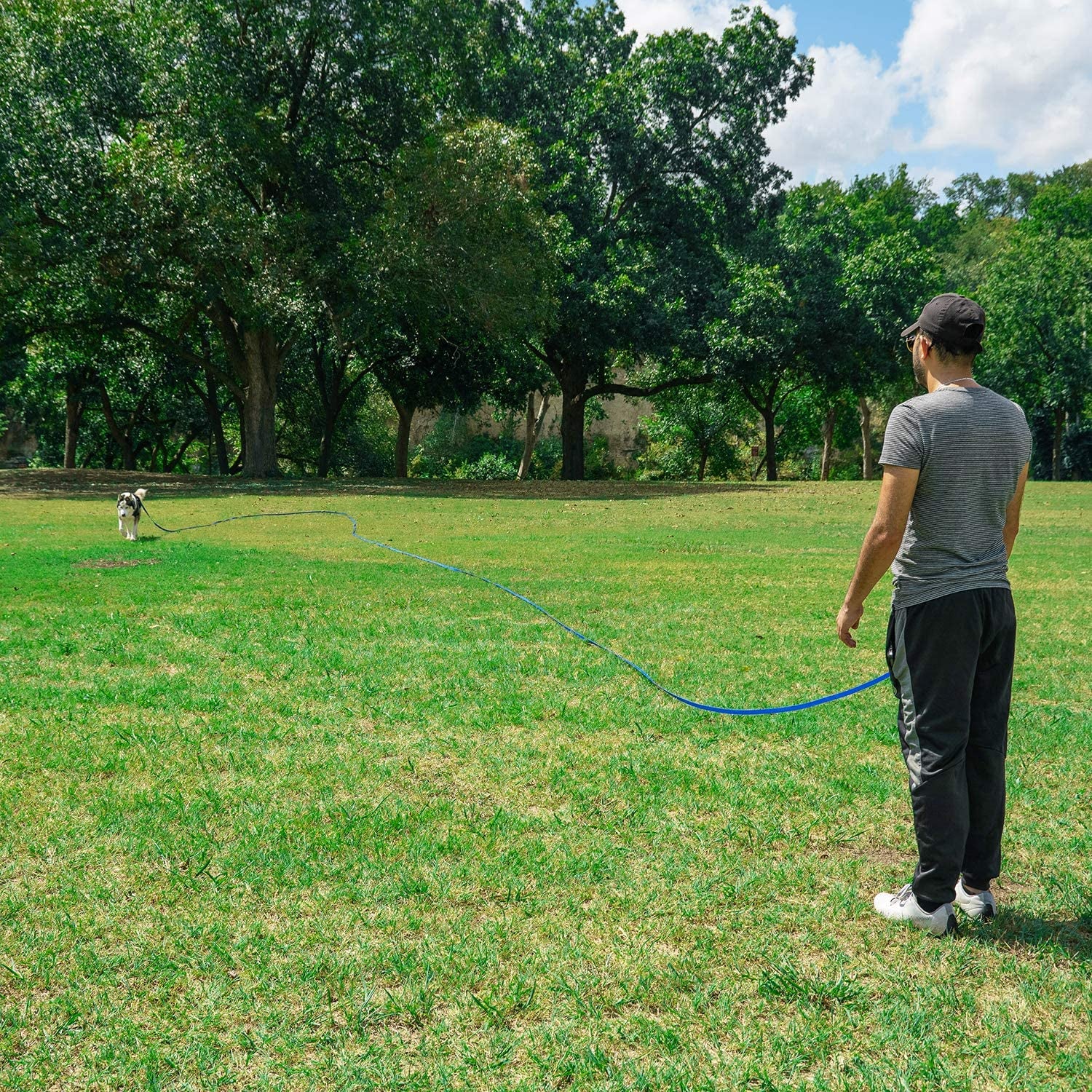 Dog/Puppy Obedience Recall Training Agility Lead - 15Ft 20Ft 30Ft 50Ft 100Ft Training Leash - Great for Training, Play, Camping, or Backyard Purple 15 Feet